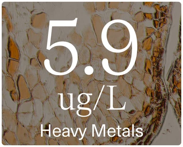 heavy metals icon