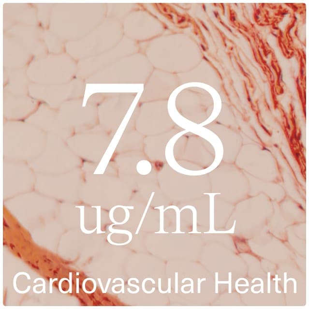 cardiovascular icon